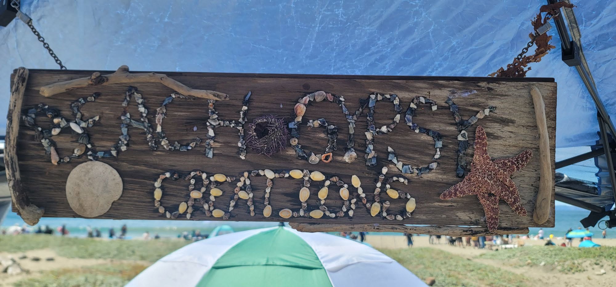 Beach Gypsy Creations driftwood sign with starfish, sand dollar, urchin, and the ocean behind it